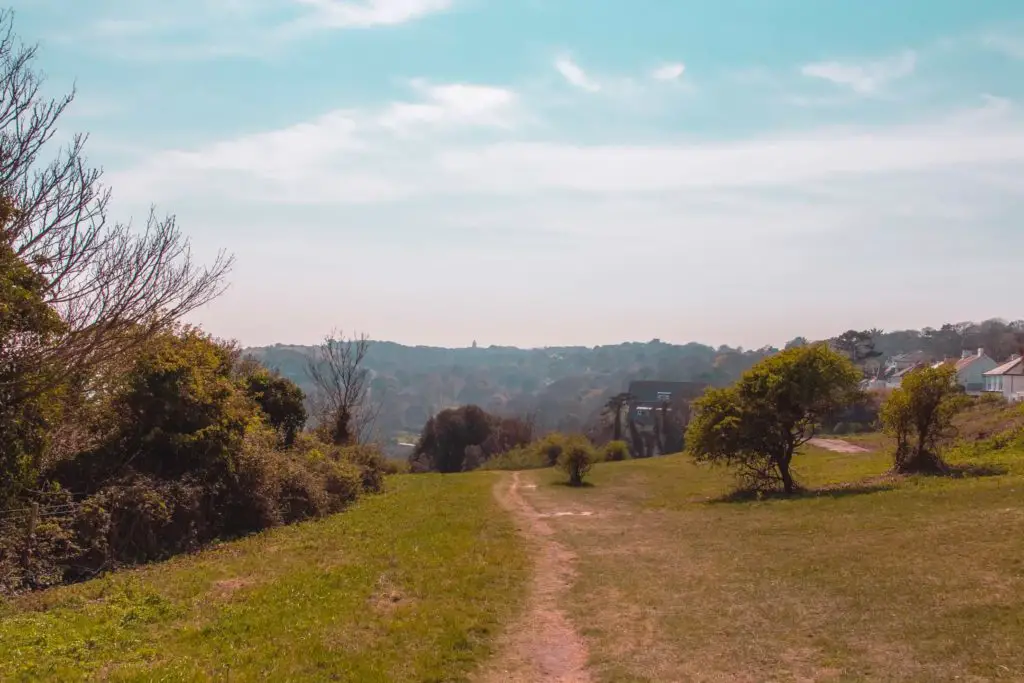 English countryside greenery of a grassy field and bushes and trees with the walking trail running through the field.