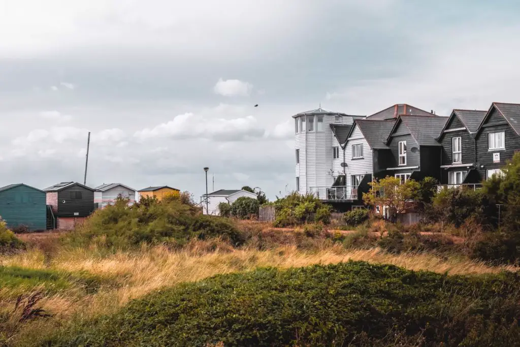 Back and white wooden houses and small colourful beach huts next to an open overgrown bushy field.