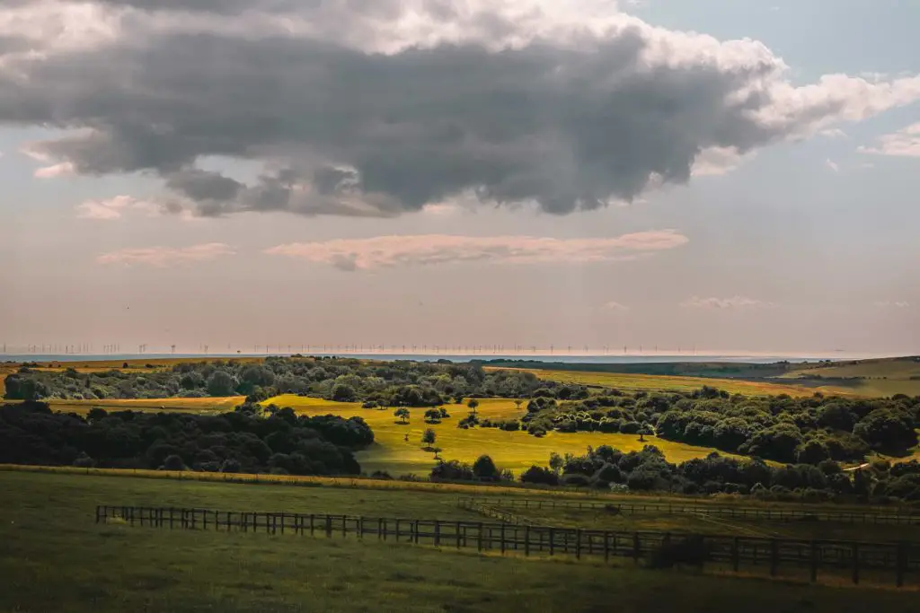 Green fields and trees with a view of the English channel and wind farms inn the distance, on the walk from Hassocks to Lewes.