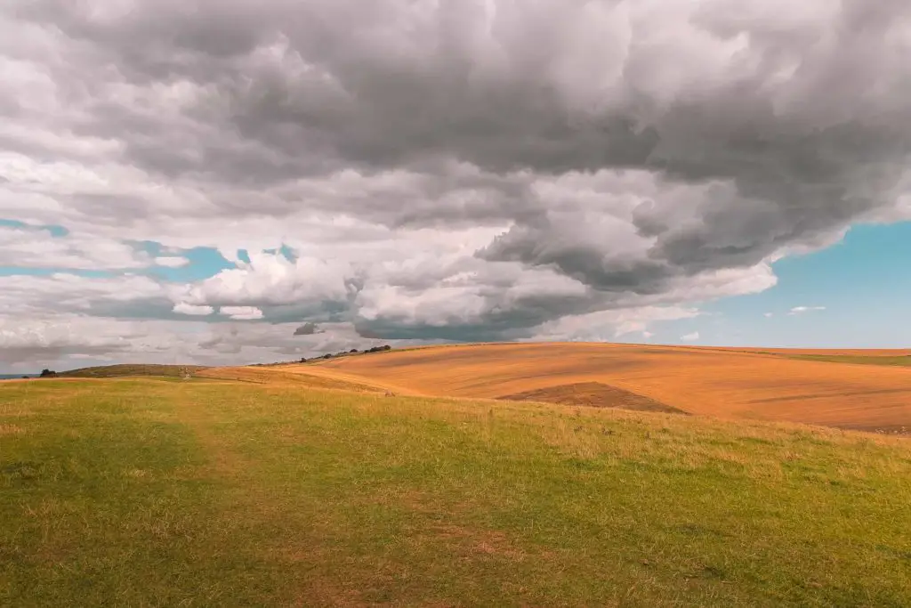 A green field in the foreground, leading to the hill of an orange field in the background on the walk from Hassocks to Lewes and Ditchling Beacon.