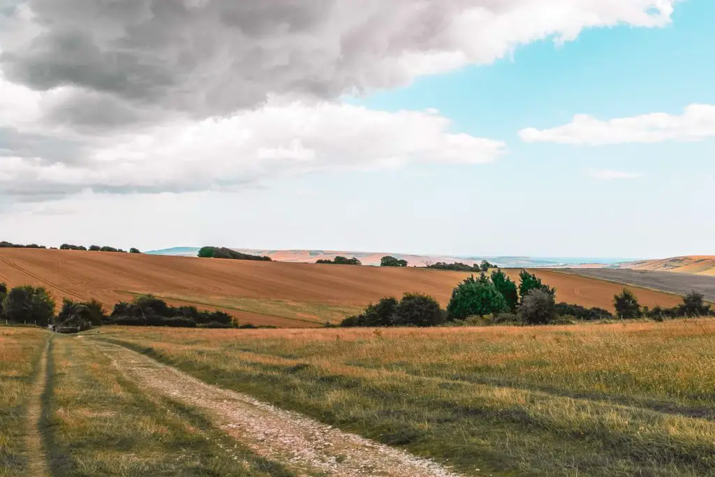 The rolling hills of the South Downs, in the colours of green and orange, with trees and bushes dotted about.