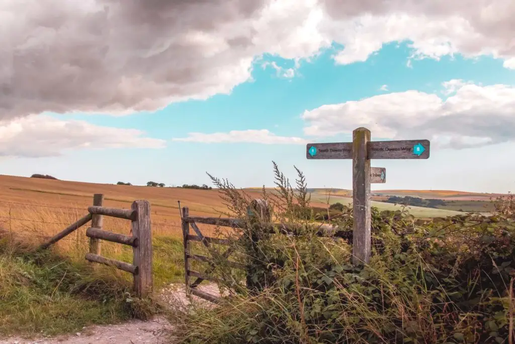 South Downs way signage near Ditchling Beacon, on the trail from Hassocks to Lewes. It is poking out of a bush, next to a gate leading to an orange coloured field. 