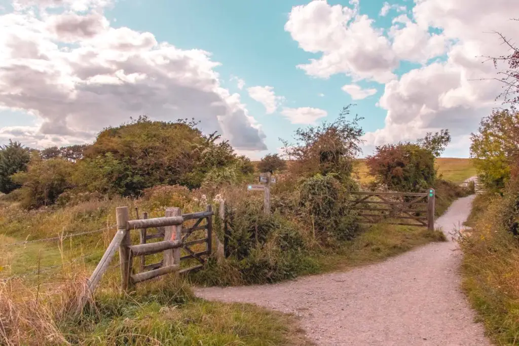 A path surrounded by bushes and trees, and a fence leading to the other field which is just out of frame. 