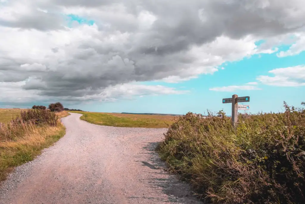 A winding trail on the walk from Hassocks and Ditchling Beacon to Lewes, with South Downs Way signage poking out of the bushes to the right. The sky is blue with white and grey fluffy clouds.