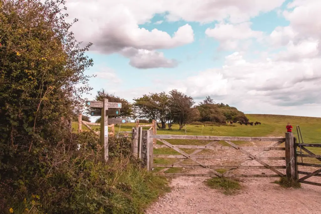 A fence and gate leading to a field. There is a South Downs way sign post in the bushes on the left. There is a man in a red t-shirt in the field.
