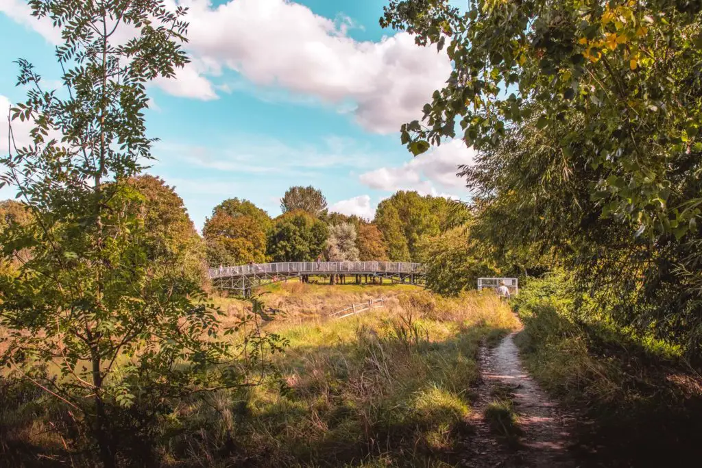 Walking under tree cover along a trail, with an opening ahead and a view of the bridge over the river Ore.