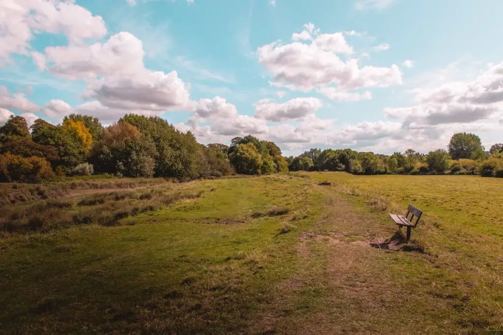 A large green field with a small lonely bench and lots of trees and bushes at the other end for the field.