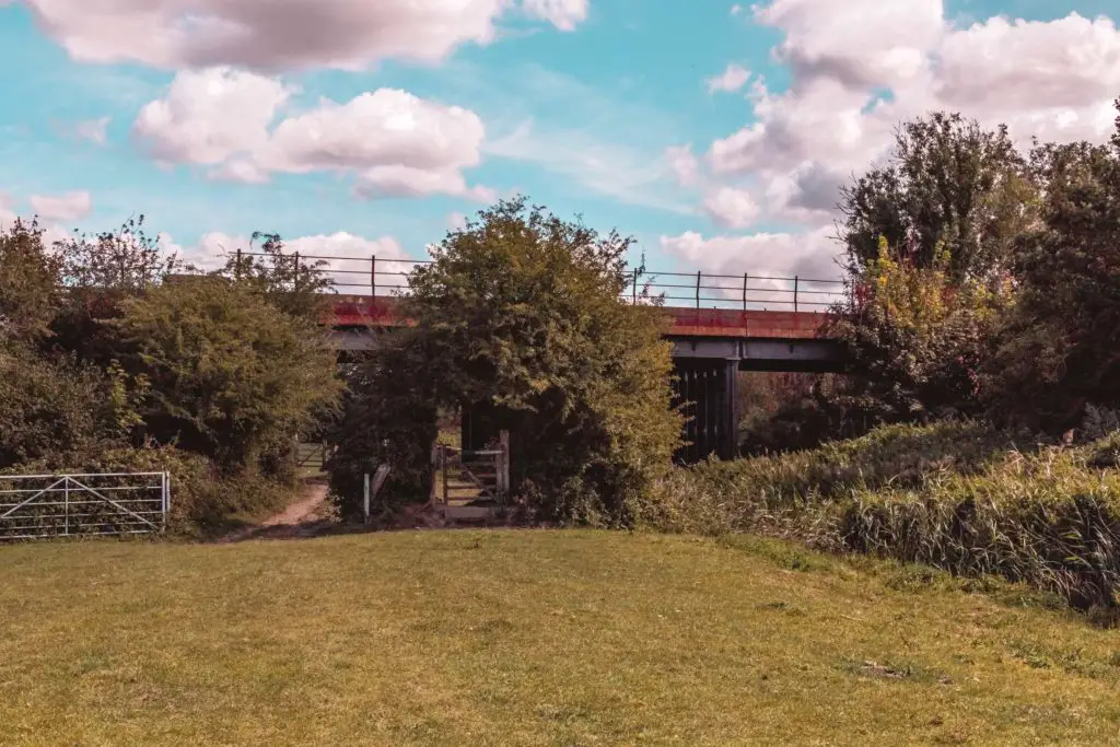 A green field with metal bridge ahead, surrounded by lots of green bushes. 