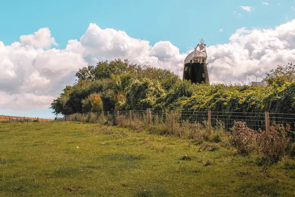 A black windmill half hidden behind green bushes and a fence. The is a blue sky and white fluffy clouds backdrop.