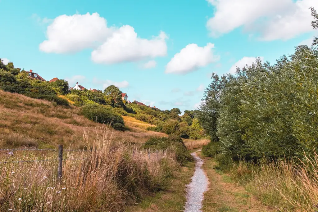 A path surrounded by green grass, bushes and trees under a hill. Some rooftops are visible through the bushes on top of thew hill.