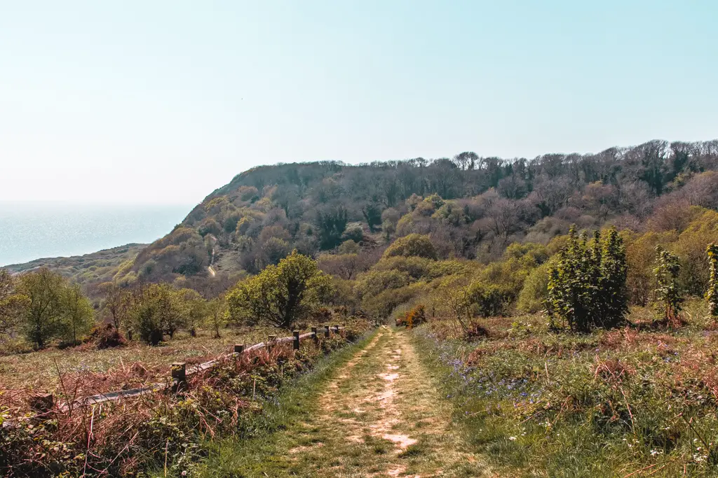 Looking back at the green landscape with bushes and trees and a glimpse of the ocean on the Hastings to Rye coastal walk.