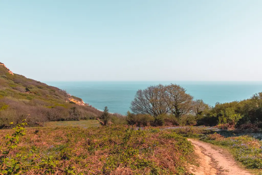 The coastal path surrounded by greenery with the ocean backdrop on the walk from Hastings to Rye.