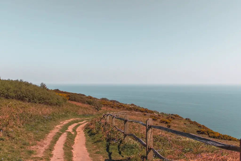 The trail with a wooden fence running alongside it with the ocean backdrop on the Hastings to Rye coastal walk.