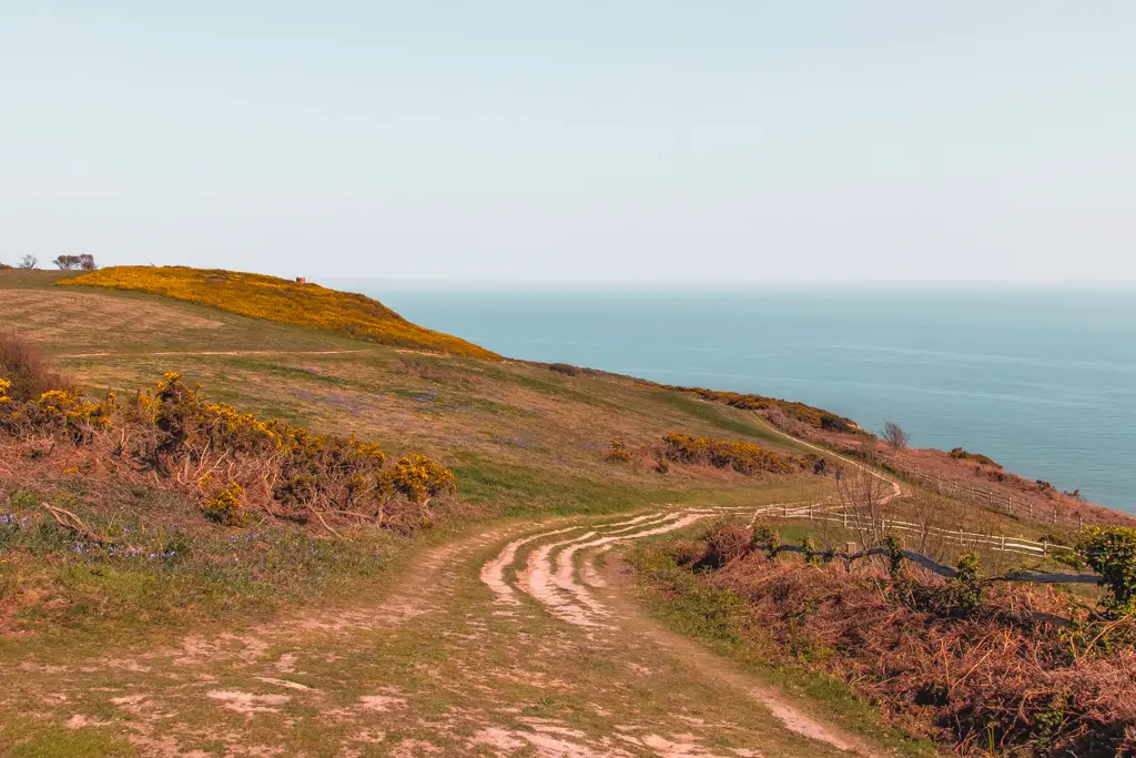 The trails in a green field with orange tones on the Hastings to Rye coastal walk.