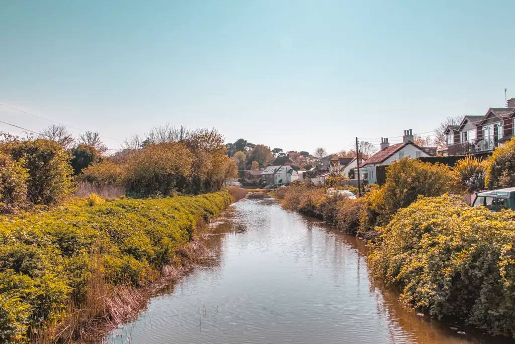 A canal surrounded by green foliage and houses on the left side.