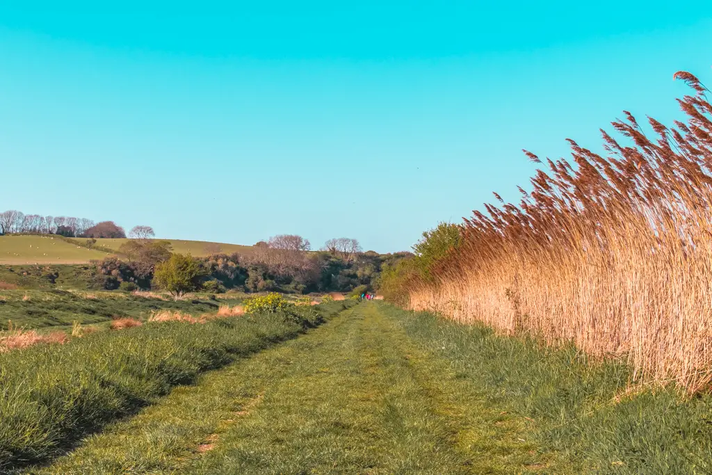 A green grass trail with a blue sky backdrop on the Hastings to Rye walk.