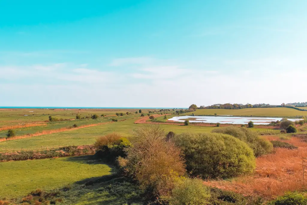 A view overlooking green fields with orange bushes and a blue sky backdrop on the Hastings to Rye walk.