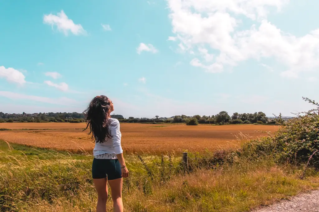 Zoe Tehrani looking out over the corn fields, on a sunny day on the walk from Hastings two Rye.