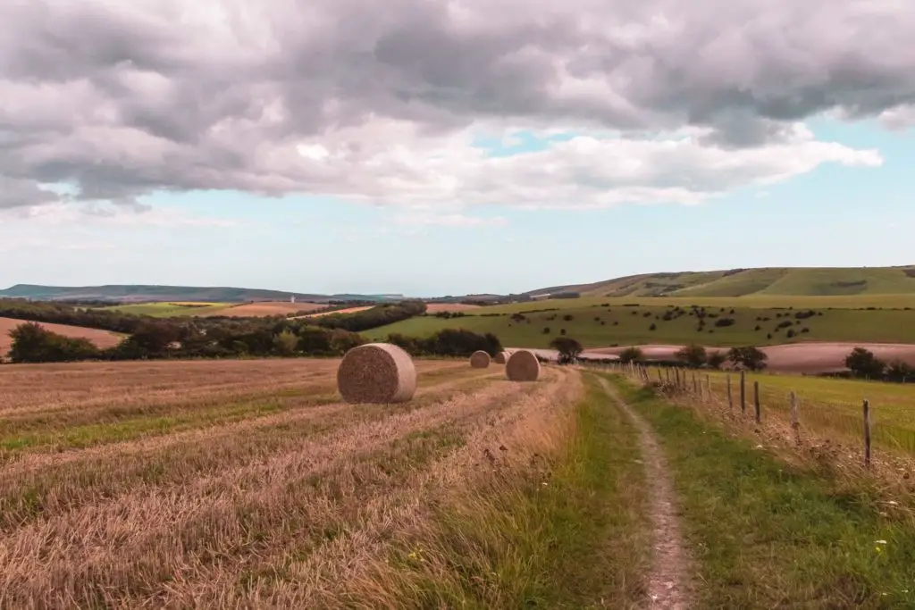 Fields of the South Downs with haystacks dotted about.