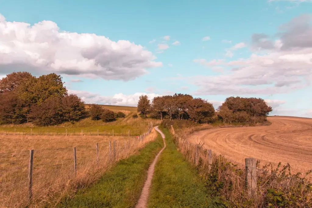 A small dirt trail with green grass patches either side of it, enclosed by a barbed wire fence on both side. There are cropped fields on the other sides of the fences. The field on the right is in a curved shape. There are trees in the distance.