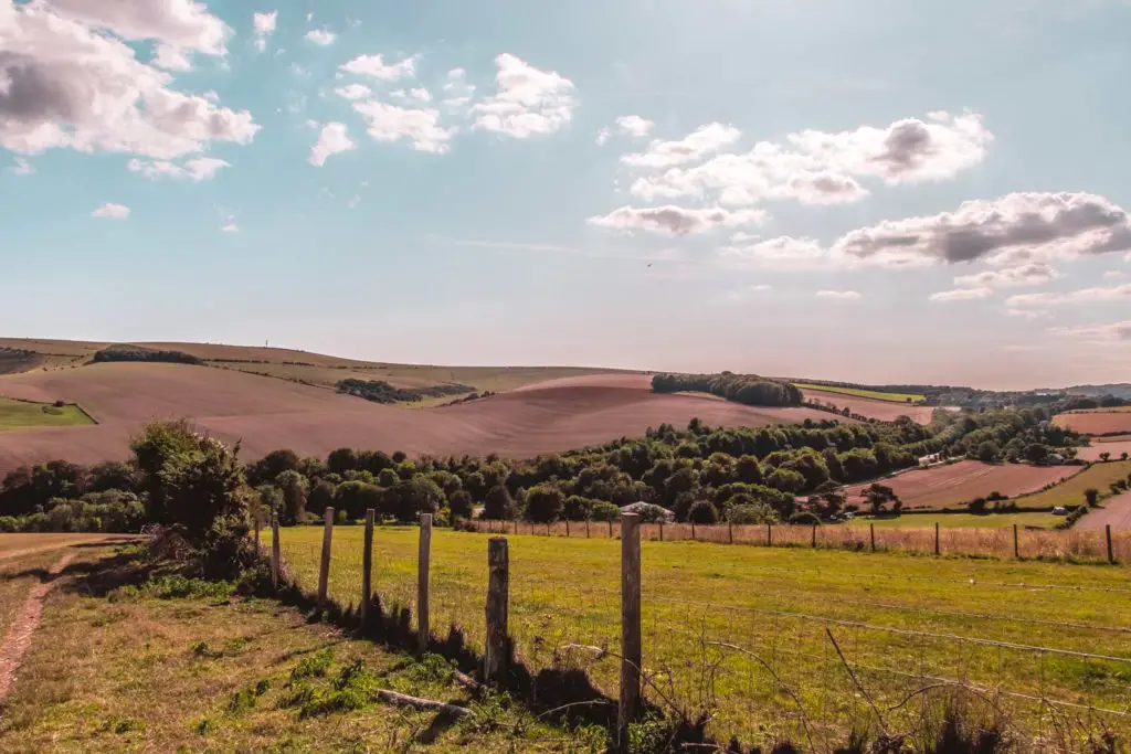 The rolling chocolate and green coloured hills of the South Downs in the distance, with groups of trees. There is a barbed wire fence in the front of the frame with green fields either side of it.