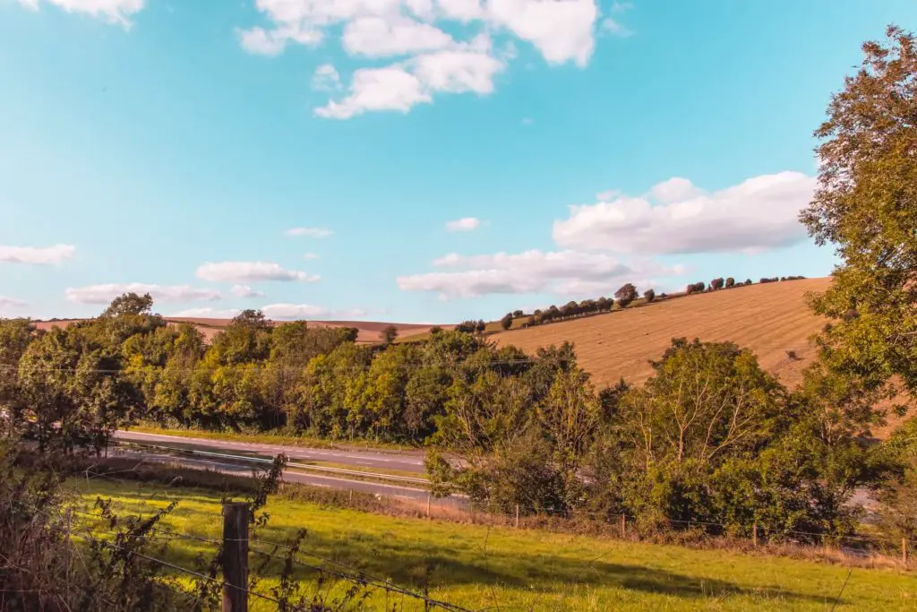 A glimpse of the main road lined with trees, and a cropped hill field the the background when hiking near lewes.