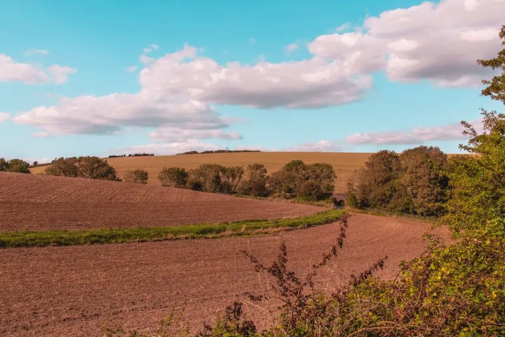 A cropped field, with a green line of grass running through it. There is a line of trees on the edge of the field, with a hill behind that. The sky is blue with white fluffy clouds.