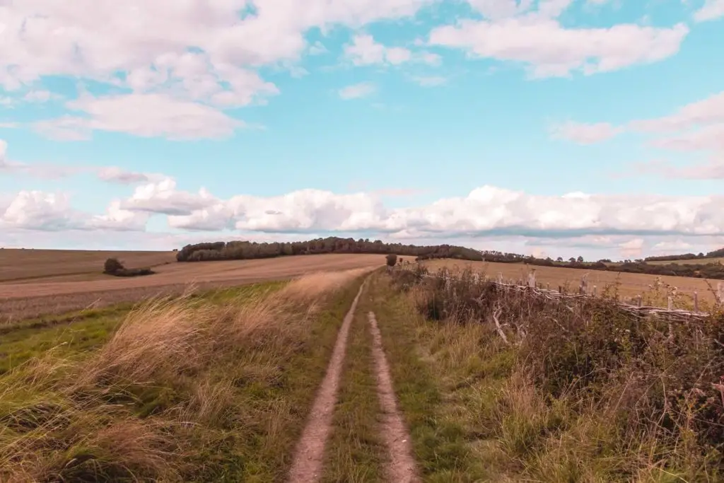 A dirt trail made of two thin trails with grass in between. There is overgrown grass on the left with open fields further left. There are bushy looking trees in the distance. The sky is blue with fluffy white clouds dotted about.