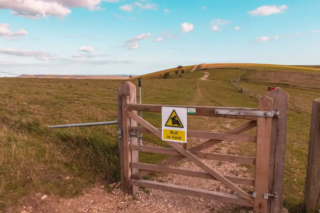 A gate leading to an open green grass field. There is a sign on the fence which says ‘Bull in field’.