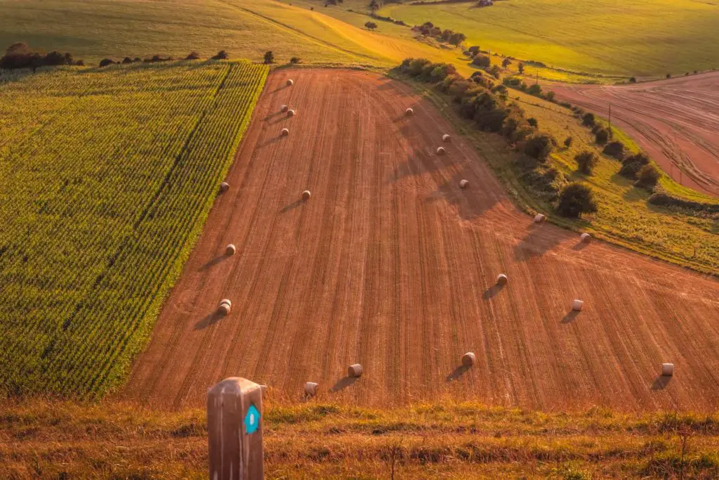 South Downs way sign post in the bottom front of the frame with a view below of a cropped field with haystacks dotted about, next to a green field.