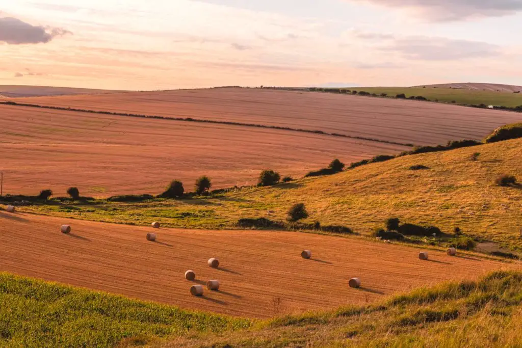 The rolling hills in shades of green and orange with haystacks dotted around.