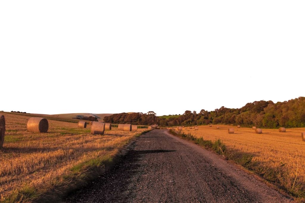 A dark brown gravel road with cropped fields either side dotted with haystacks. There are trees in the distance.