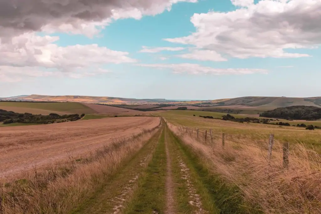 A grassy trail in the centre of frame on the walk from Lewes to Southease. The rolling South Downs hills are in the distance. 