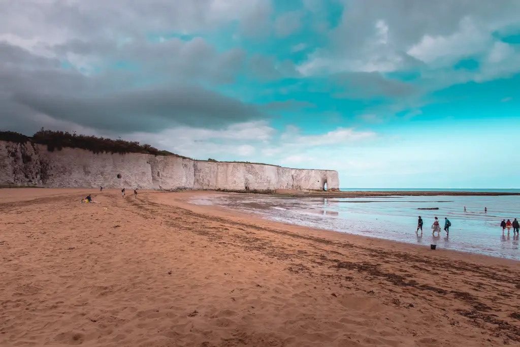 A beach cove with people walking at the waters edge and the white cliffs in the distance.