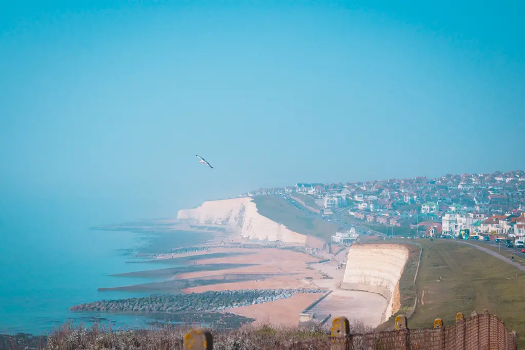 Cliff view with a village on the clifftop when walking from Newhaven to Brighton on the south east coast path. There is a seagull flying.