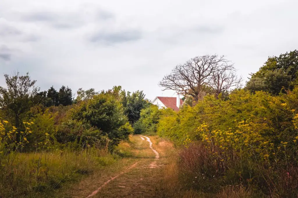 A trail surrounded by green foliage and the roof of a little house poking out of the bushes on the Ramsgate to Sandwich walk.