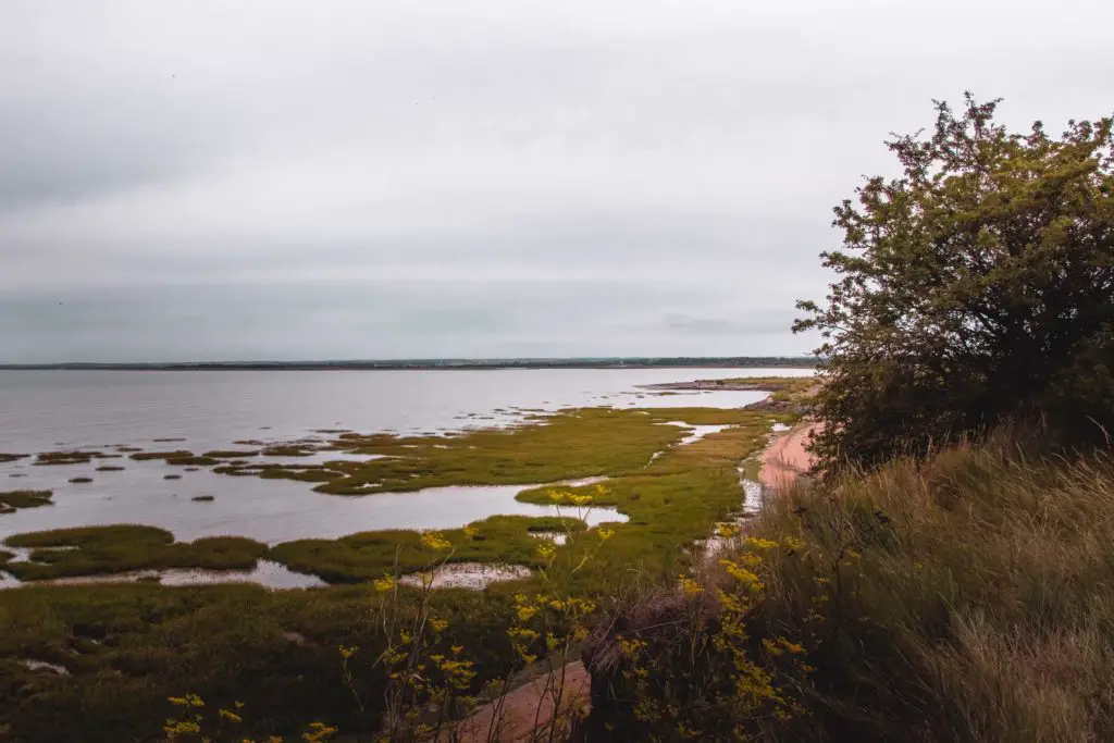 The view looking down at Pegwell Bay.