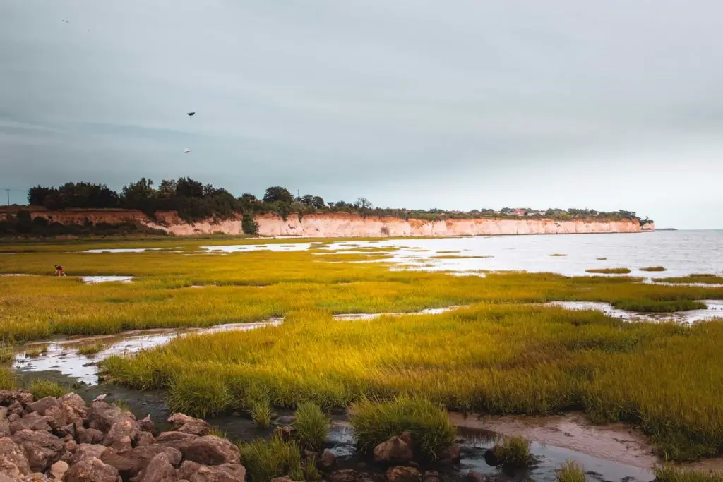 Pegwell Bay nature reserve with the white cliffs in the background.