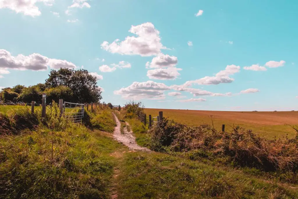 A trail in the centre of frame surrounded by grass. It is in between two fields, closed off by a metal gate. The right field has an orange colour. The sky is blue with white fluffy clouds.