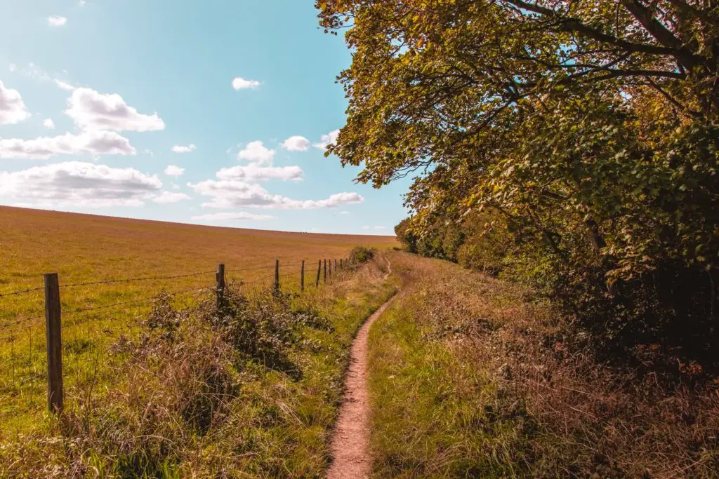 A small dirt trail in the centre of frame on the walk from Lewes to Southease. There are trees to the right, and a barbed wire fence on the left superheating and orange green coloured field.