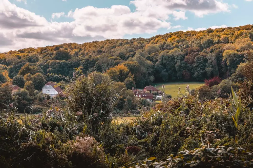 A few houses in a field, enclosed by lots of green and orange bushes and trees at the start of the walk near Lewes.