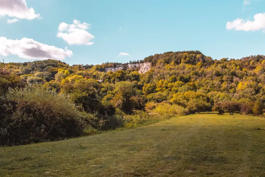 A green field sounded by bushes and trees and a clamp of the white chalk cliffs behind then.