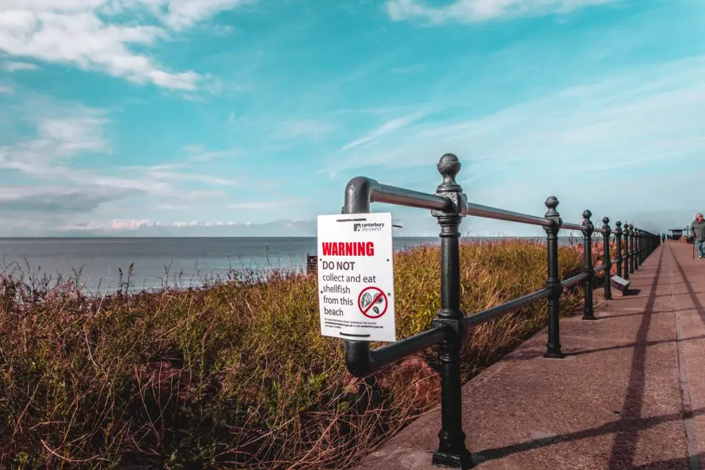 A warning sign not to collect and eat shellfish from the beach. The sign is on black railings.