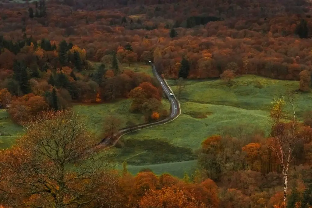 A winding road surrounded by green fields and lots of trees with green and orange leaves.