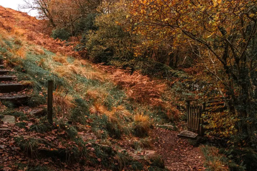 At the bottom of a hill there are steps to the left leading up it and a gate to the right which leads over a bridge. 