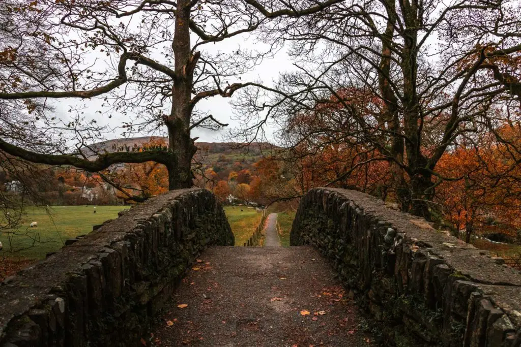 A bridge on the Todd Crag walk.