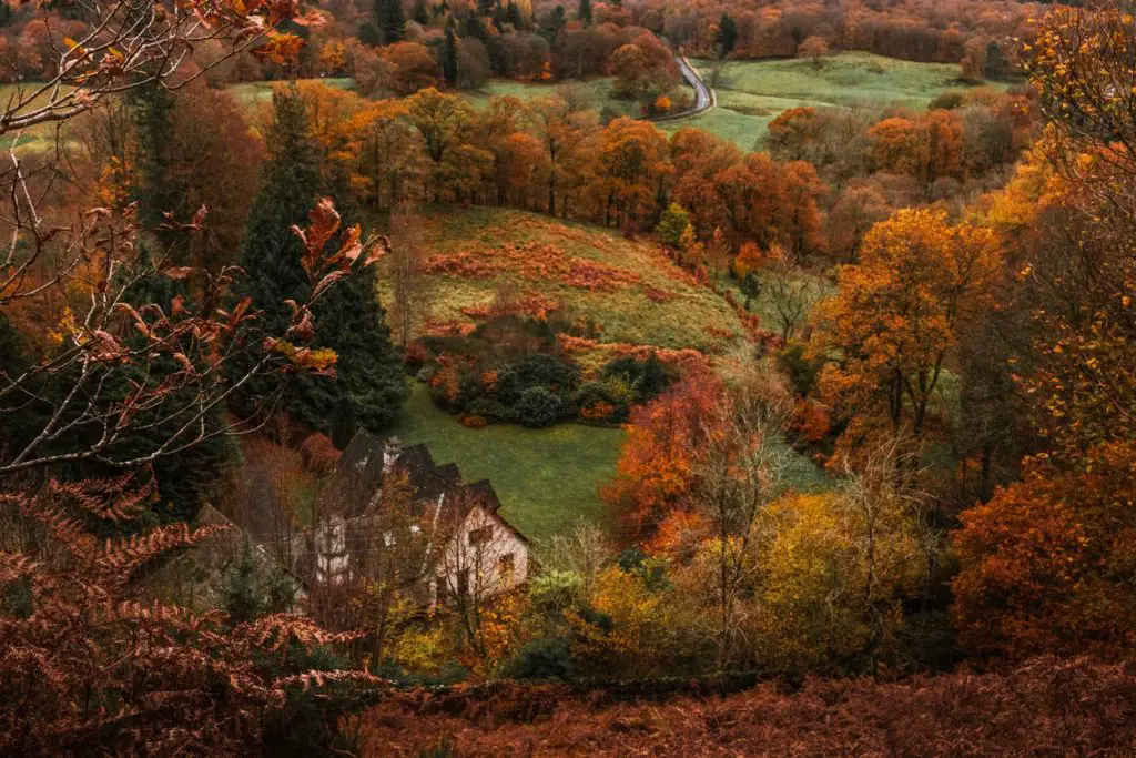 A house surrounded by green fields and trees of shades of orange on the walk up Todd Crag.