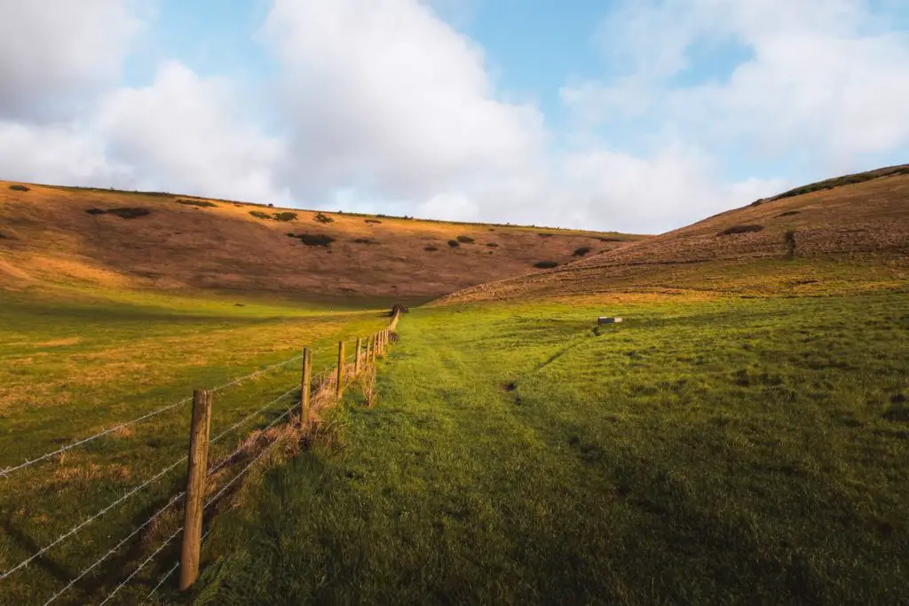 A valley with a fence running through the middle of it on the walk from Lulworth Cove to Durdle Door.. The grass is a mix of green and orange. The sky is blue with white clouds.