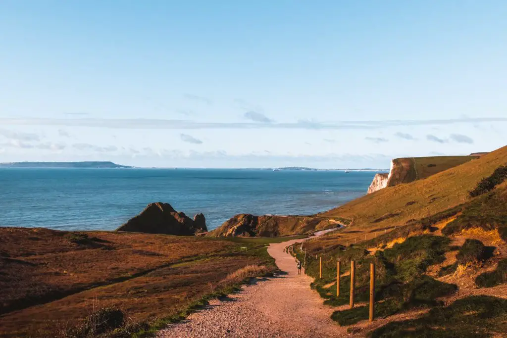 A trail leading to the blue sea on the walk from Lulworth Cove to Durdle Door.