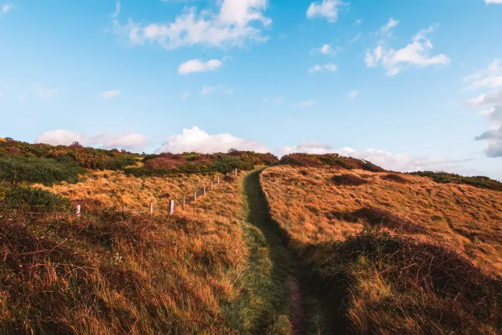 A green grass trail leading up a hill. The sky is blue with a few white clouds dotted about.